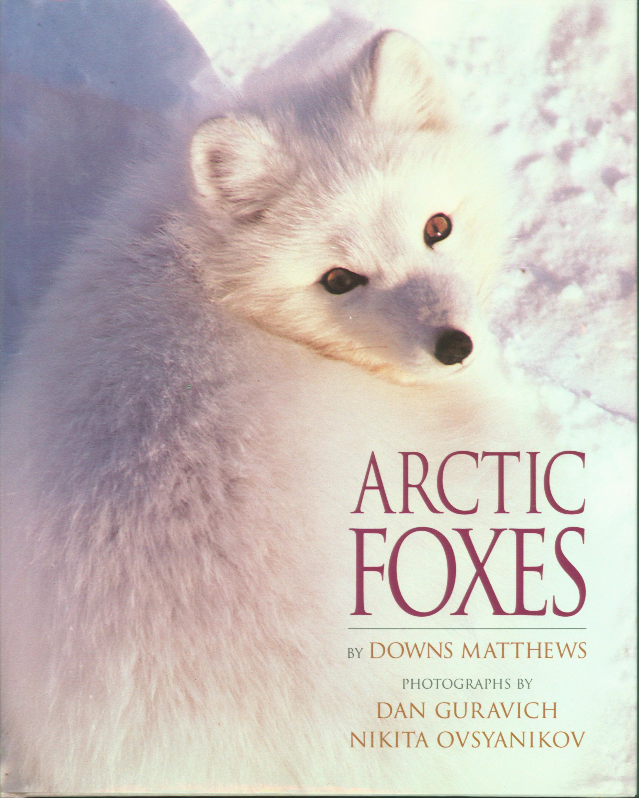 ARCTIC FOXES. 